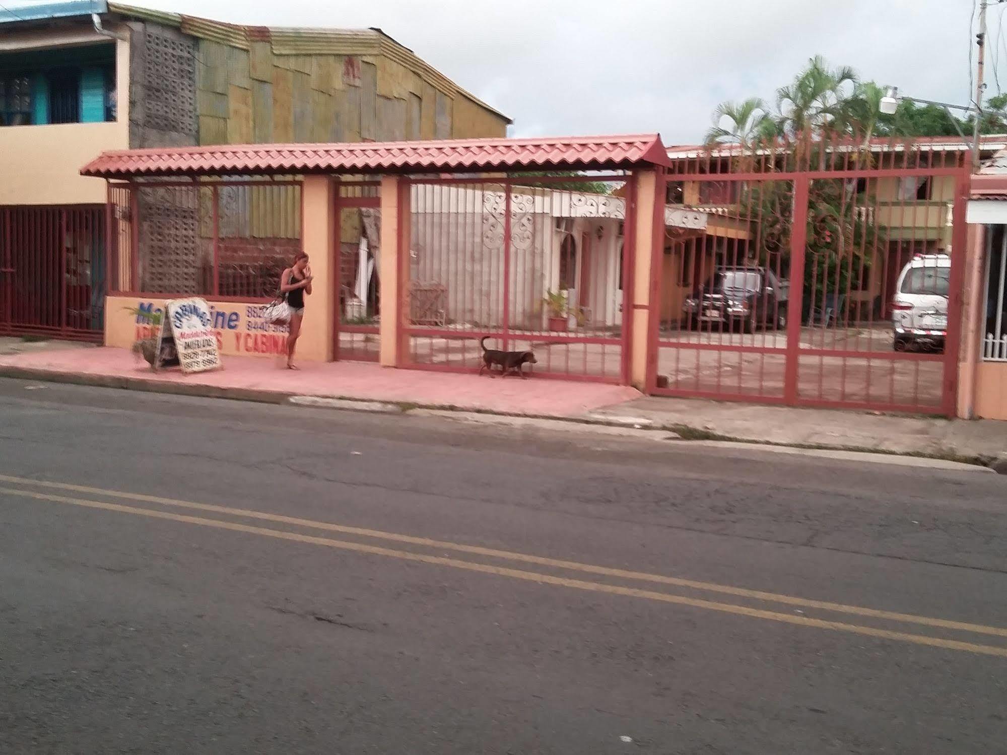 الشقق الفندقية بونتاريناسفي  Cabinas Madeleine المظهر الخارجي الصورة