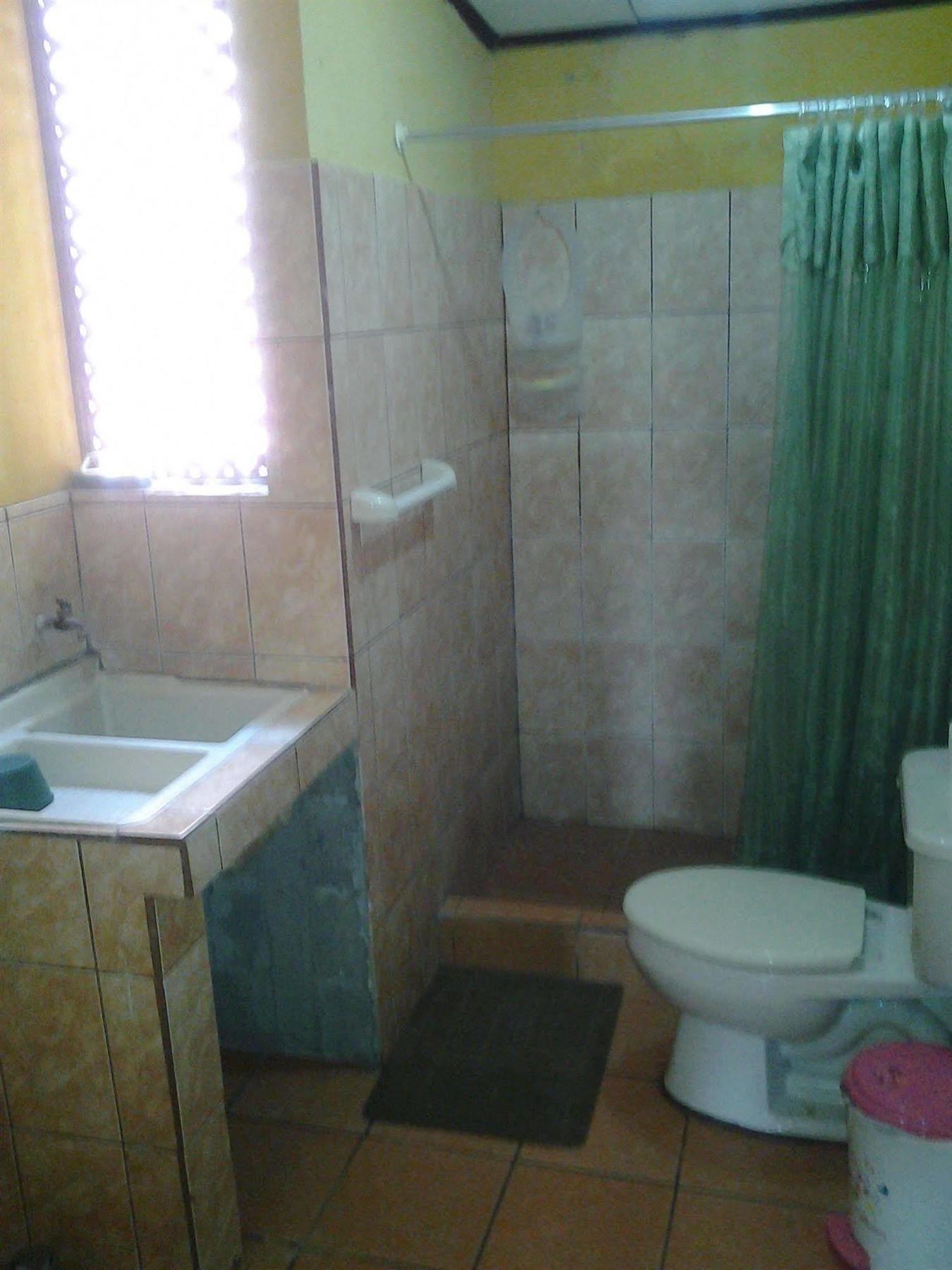 بونتاريناس Cabinas Madeleine المظهر الخارجي الصورة